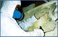 Mold Remediation