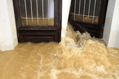 Water damage restoration Arlington VA 22204