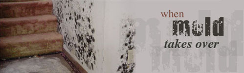 Mold Remediation - St Louis, MO 63136