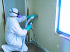 Mold Restoration