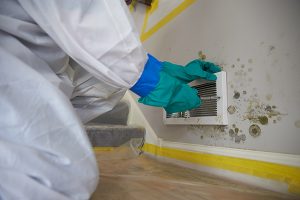Mold Remediation Services - My Home Inspection Group