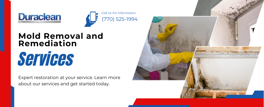 Mold Remediation in Acworth, GA - Duraclean Cleaning and Restoration