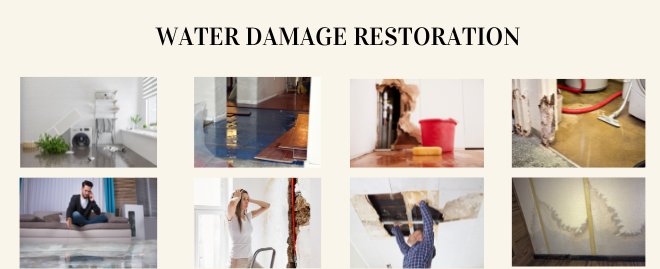 Water Damage Restoration Services in Alexandria, VA