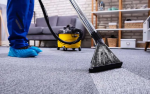 Carpet-and-Upholstery-Cleaning-Services-algonquin-il