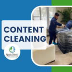 Content Cleaning - Green Planet Restoration
