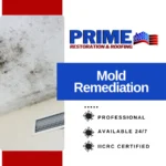 Mold Remediation Services - Prime Restoration