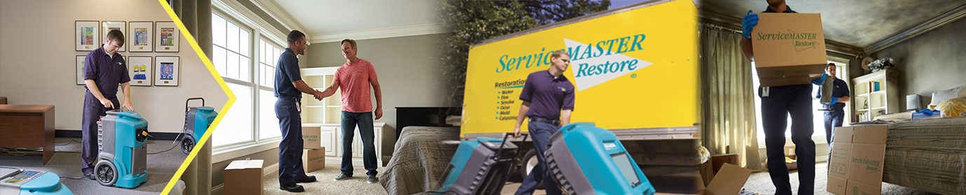 ServiceMaster-Disaster-Restoration-and-Cleaning-Arlington Heights, IL