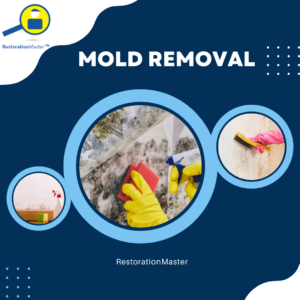 Mold Removal