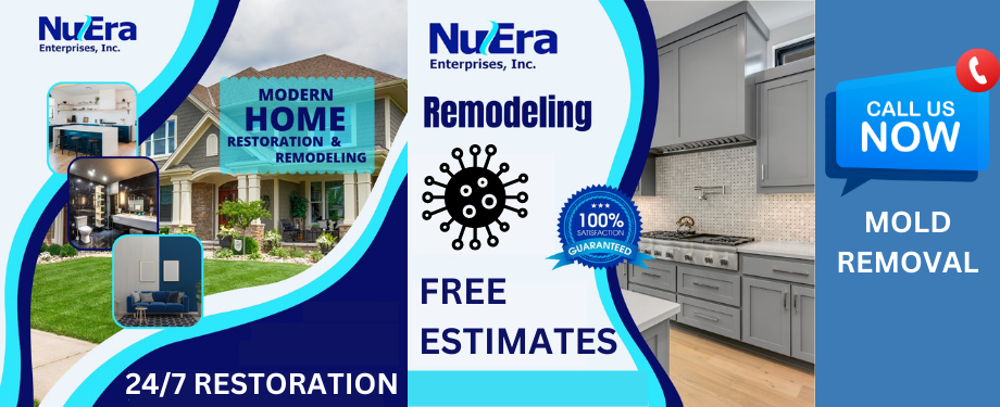 mold removal services - NuEra Restoration and Remodeling