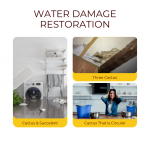 Water Damage Cleanup Services - Arlington VA 