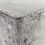 Home Mold Growth