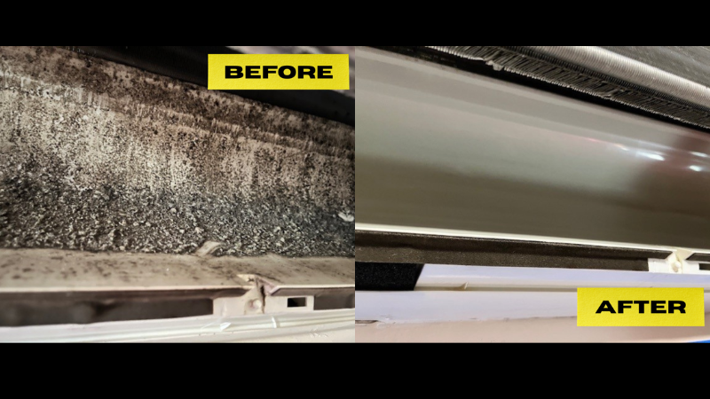 Mold Remediation in Wasco, CA - RestorationMaster