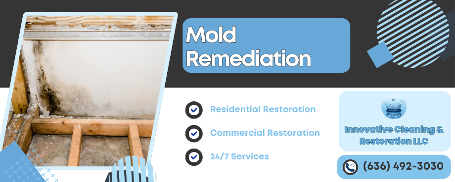 Mold Remediation Services - Innovative Cleaning and Restoration