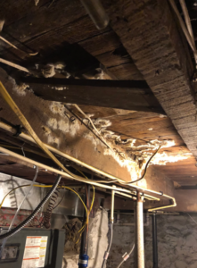 mold-removal-from-basement-ceiling-Baltimore, MD