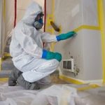 Mold-Removal-Services-in-Bedminster-NJ