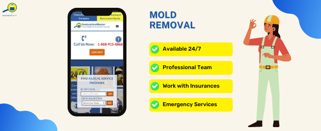 Mold Remediation in Berks and Montgomery Counties, PA