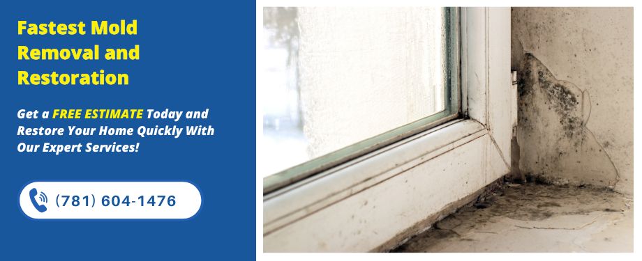 Emergency Mold Removal Boston MA Emergency Mold Removal Boston MA