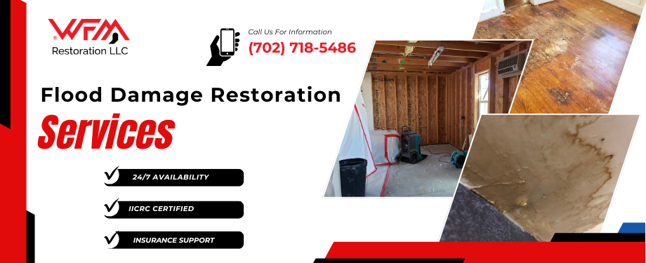 Flood Restoration in Mesquite and Boulder City, NV - WFM Restoration