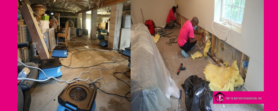 Top To Bottom Renovation, Inc. Mold Removal