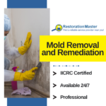 Mold Removal and Remediation by RestorationMaster