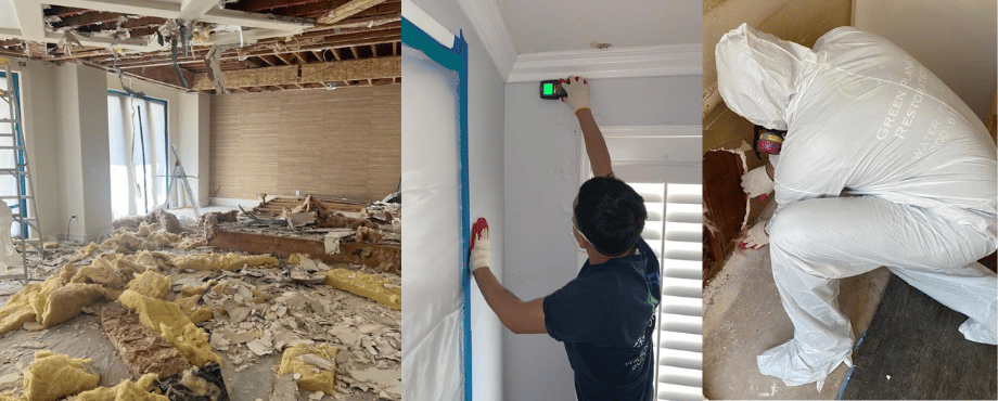 Mold Removal And Mold Remediation In Burbank, CA