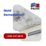 mold-remediation-cape coral, FL