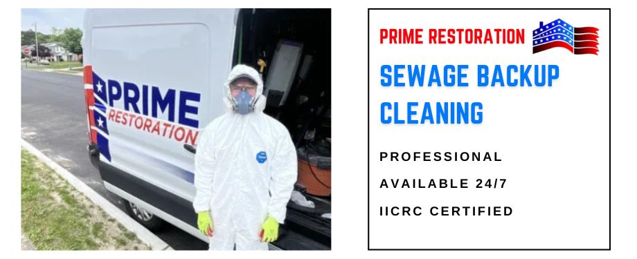 sewage backup cleanup cape coral fl