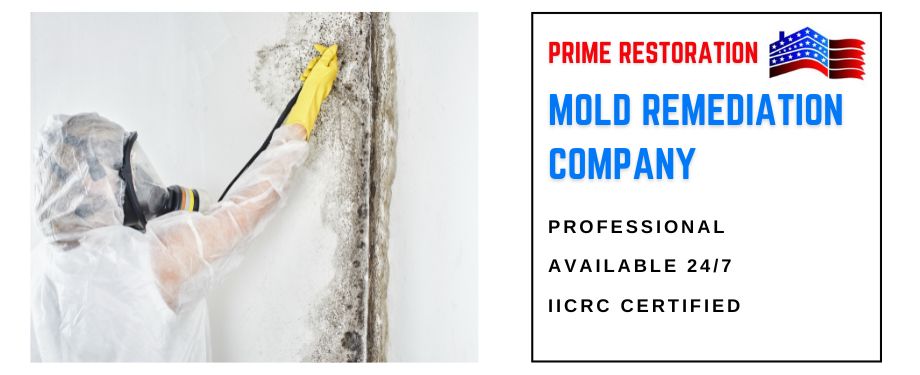 Mold Remediation company - Prime Restoration - Cape Coral FL