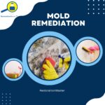 Mold Removal Carrollton TX