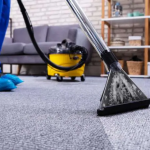 Carpet Cleaning Cary IL