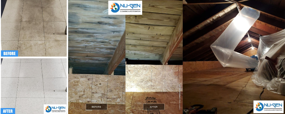 mold removal - Nu-Gen Cleaning & Restoration