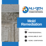 Mold Remediation Services - Nu-Gen Cleaning & Restoration