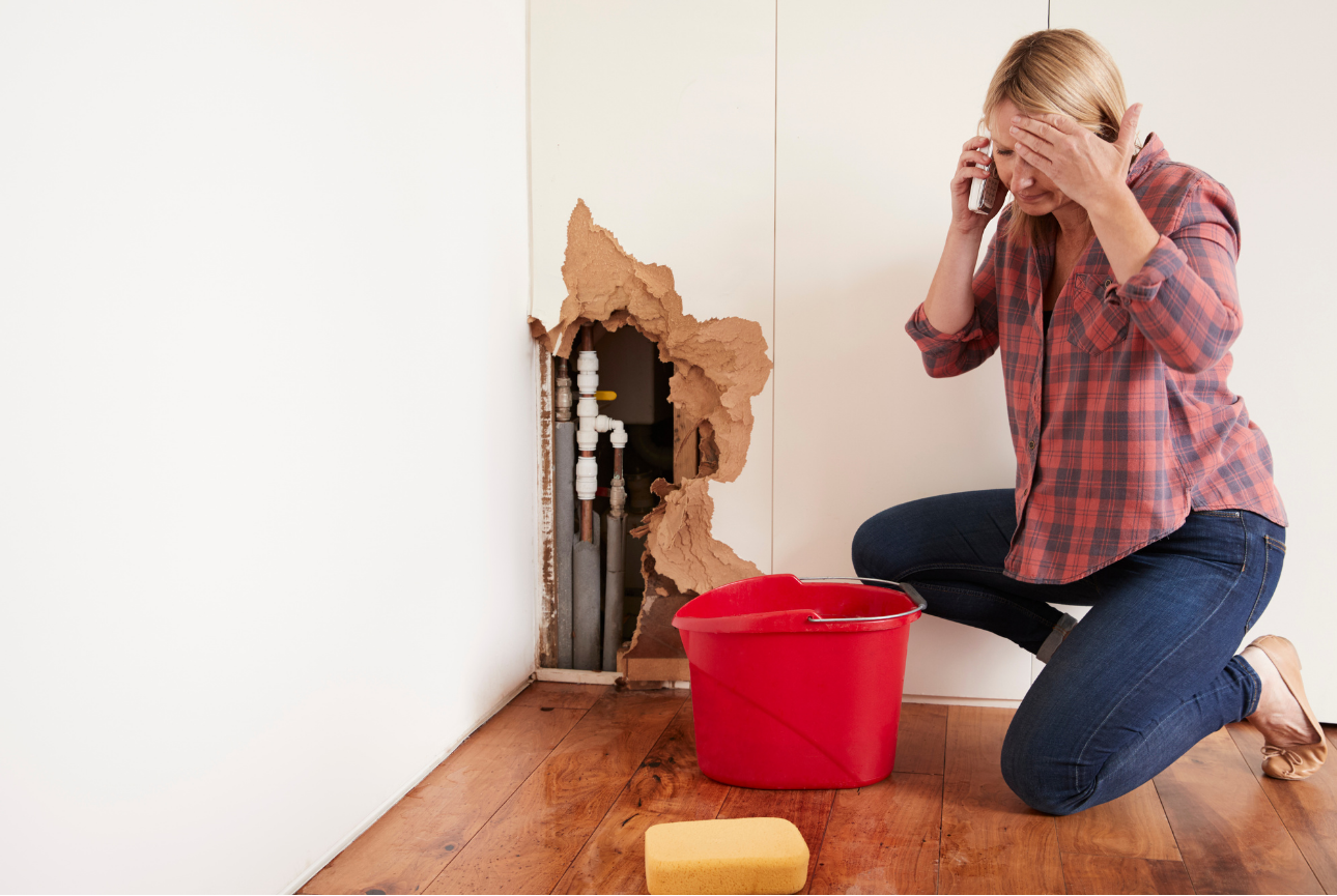 Water Damage Restoration Casselberry