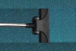 Carpet Cleaning - Casselberry, FL