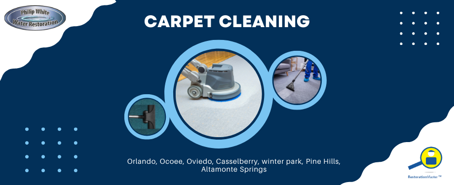 Carpet Cleaning in Casselberry, Florida