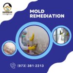 mold-remediation-chatham-nj