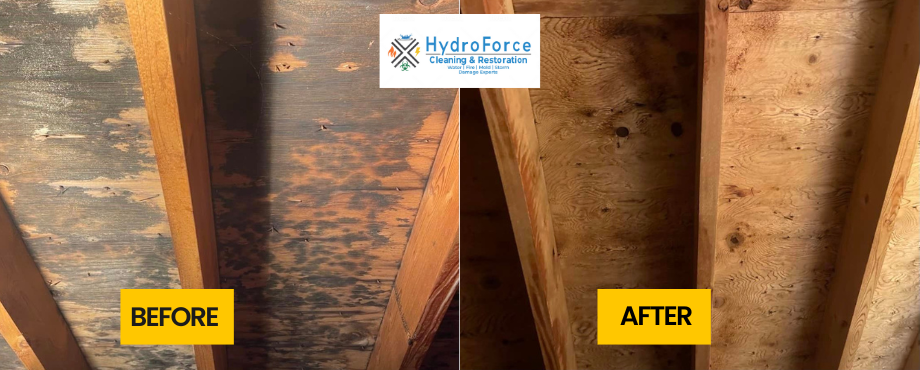 Removing Mold in the Attic before and after