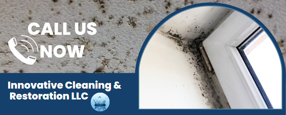 Mold Removal - Innovative Cleaning & Restoration 