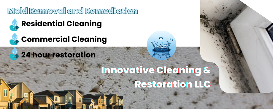 mold removal and mold damage restoration - Innovative Cleaning & Restoration