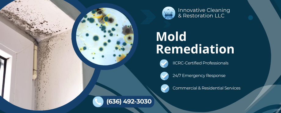 mold removal and mold damage restoration - Innovative Cleaning & Restoration