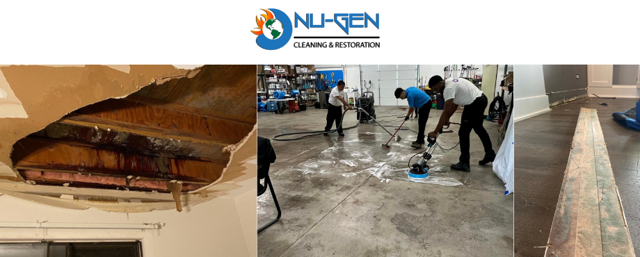 Water Damage Related Mold Removal by Nu-Gen Cleaning and Restoration