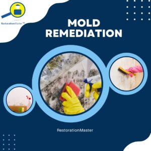 Mold Remediation Dallas Tx