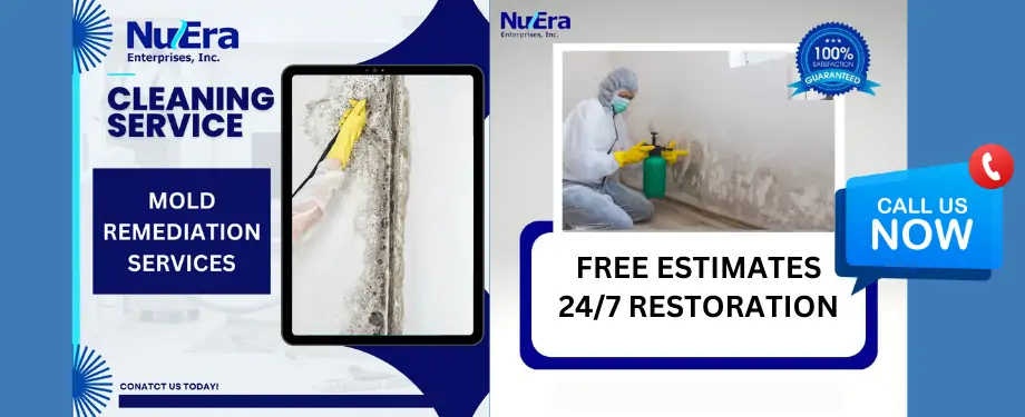 Mold Remediation by NuEra Restoration and Remodeling