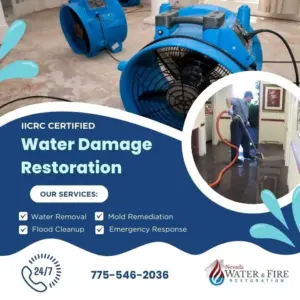 Water Damage Restoration in Dayton, NV