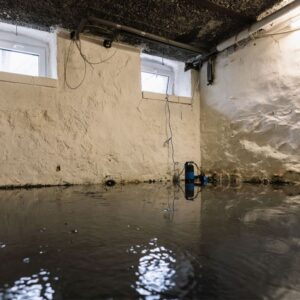 Water Damage in Dayton, NV