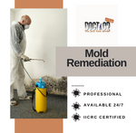 Mold-Remediation-Delran, NJ