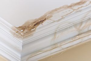 Ceiling water damage - Peeling paint on an interior ceiling a result of water damage caused by a leaking pipe dripping down from upstairs a result of substandard plumbing completed by an unqualified plumber. A common house insurance claim.