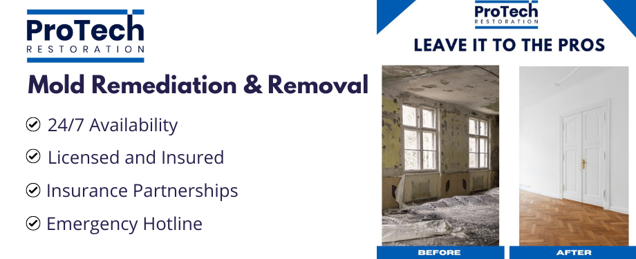 Mold Remediation and Removal Services by ProTech Restoration