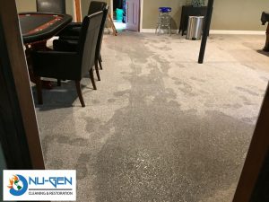 flooded basement - water tracked through carpet