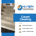 Carpet Cleaning Services - Nu-Gen Cleaning and Restoration